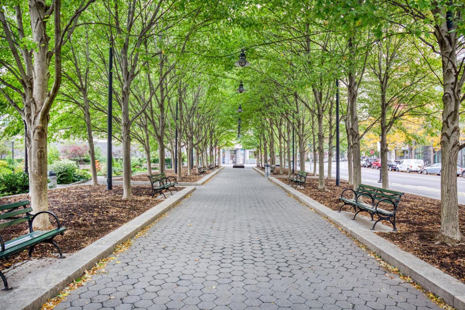 Apartamento Fidi W Gym Doorman Nr Freedom Tower Nyc-1097